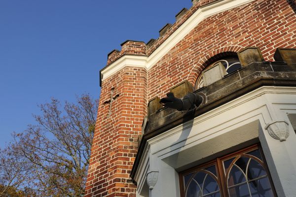 Das Schlangenhaus im Luisium im November 2020 - Bild 9