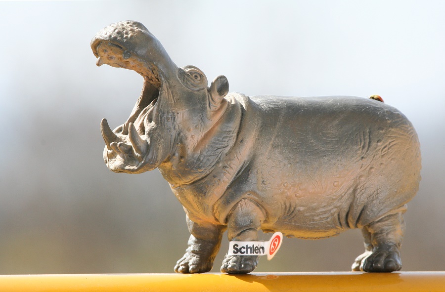 Das Schleich Nilpferd in freier Wildbahn