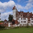 Das Schloss Basedow