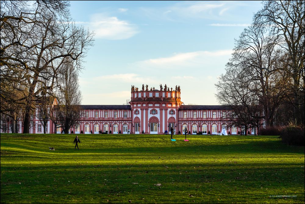 Das Schloss Biebrich