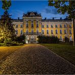 Das Schloss Dornburg......
