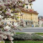 Das Schloß hinter dem Magnolienbaum