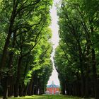 Das Schloss im Gegenlicht