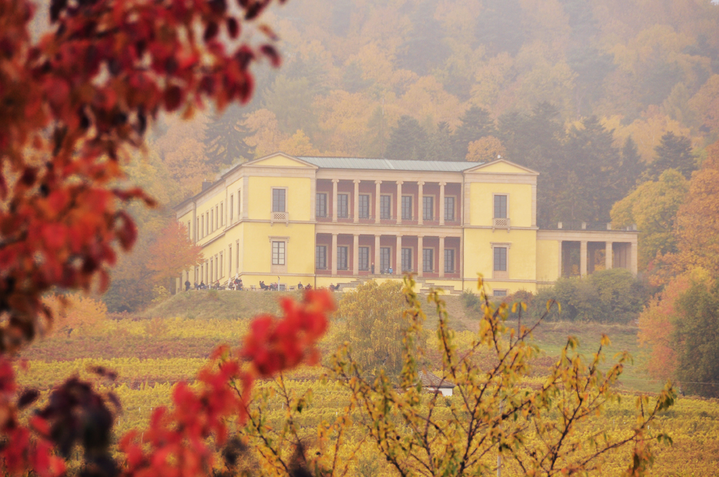 Das Schloss im Weinberg