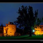 Das Schloss in Heidelberg