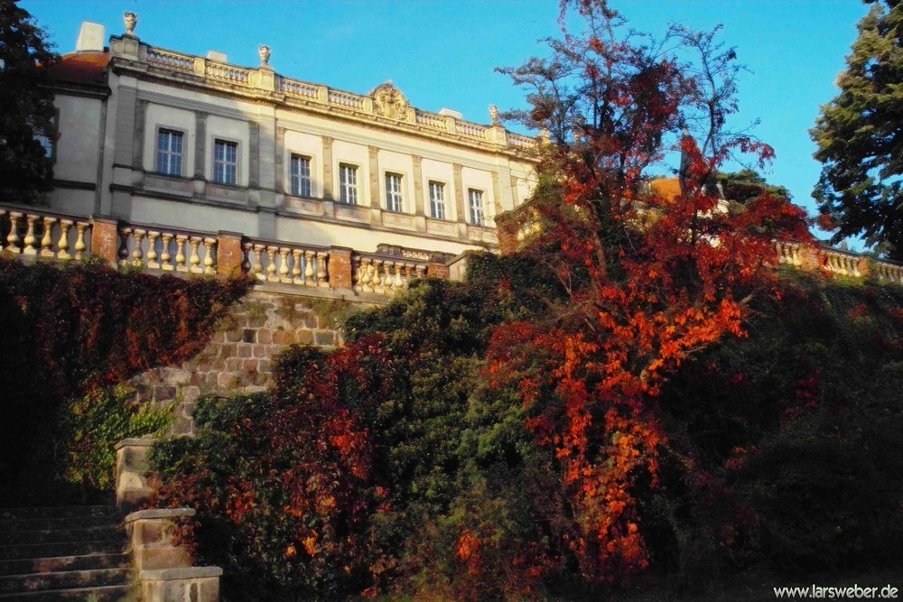 Das Schloß in Wiesenburg Mark - Abendblick aus dem Park