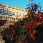 Das Schloß in Wiesenburg Mark - Abendblick aus dem Park