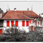 Das Schloss mit den roten Fensterläden