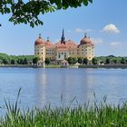 Das Schloss Moritzburg 
