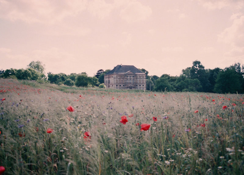 Das Schloss Rossewitz