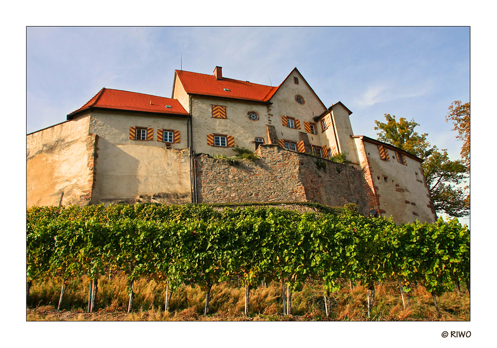 das Schloss Stauffenberg oberhalb von Durbach...............