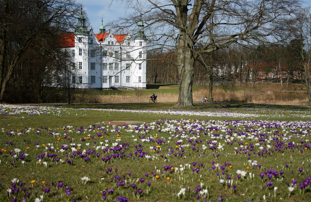 Das Schloss und der Frühling