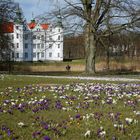 Das Schloss und der Frühling