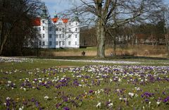 Das Schloss und der Frühling