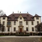 Das Schloss von Babstadt