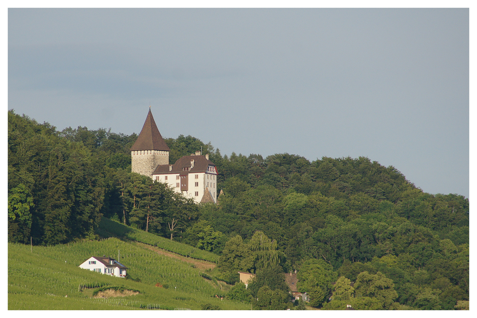 Das Schloss Weinfelden