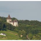 Das Schloss Weinfelden