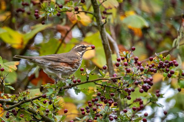 das schmeckt richtig gut