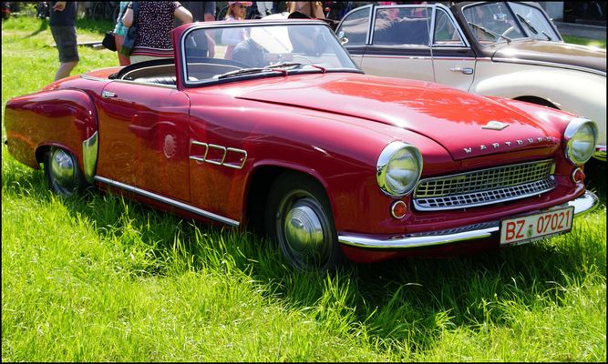 Das Schmuckstück: Wartburg 313