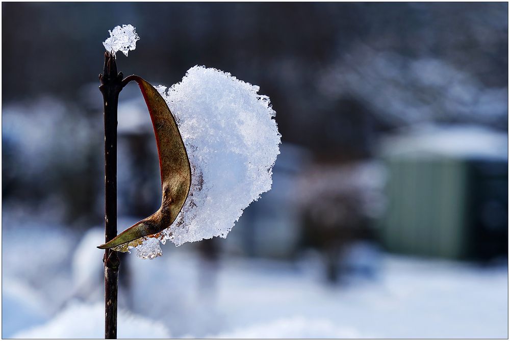 Das Schnee-Segel...