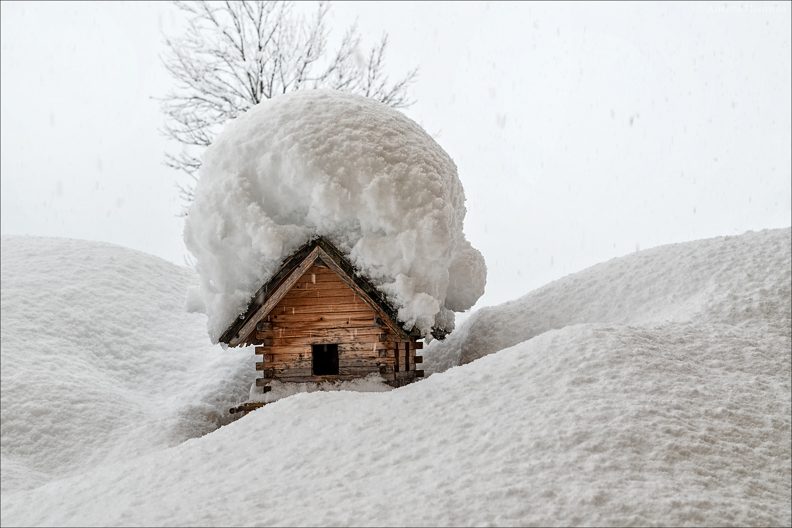 Das Schneehäubchen