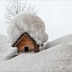 Das Schneehäubchen