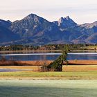 Das schöne Allgäu 2