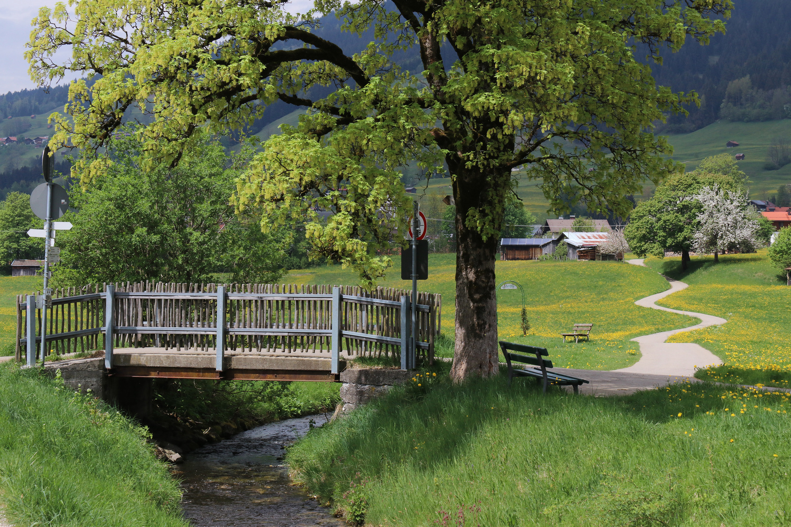 Das schöne Allgäu im Mai