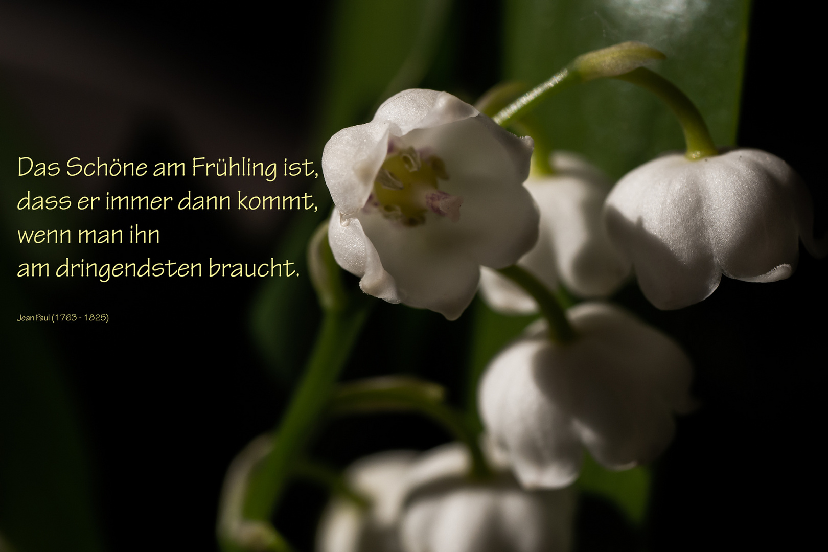 "Das Schöne am Frühling"