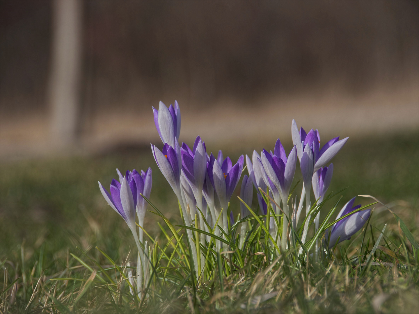 das Schöne am Frühling ist...