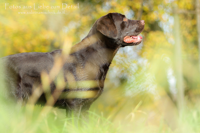 Das schöne am Herbst :-)