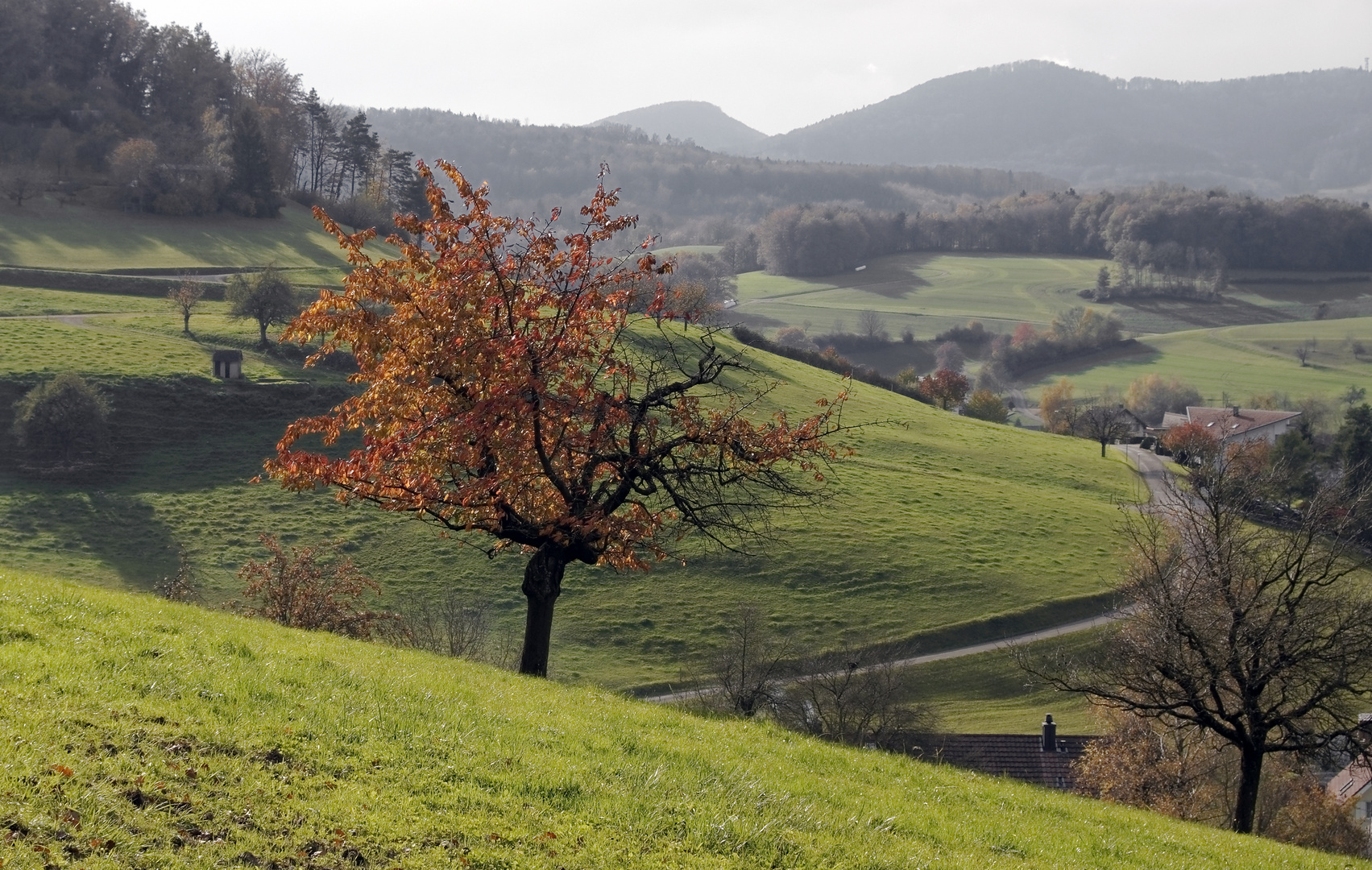 Das Schöne am Herbst sind die Farben