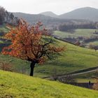 Das Schöne am Herbst sind die Farben