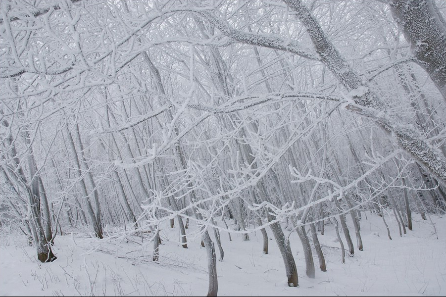 Das Schöne am Winter