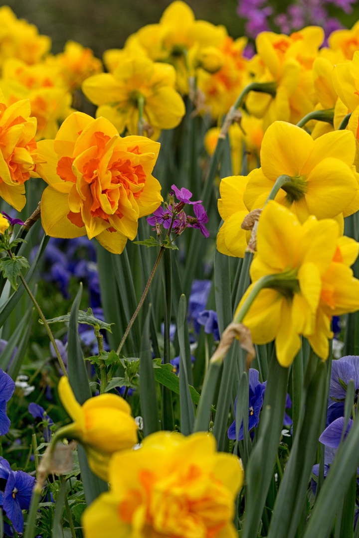 Das schöne an dem Frühling