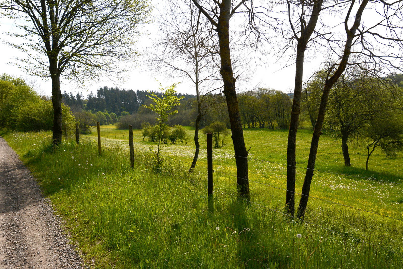 Das schöne Genfbachtal im Frühling