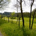 Das schöne Genfbachtal im Frühling