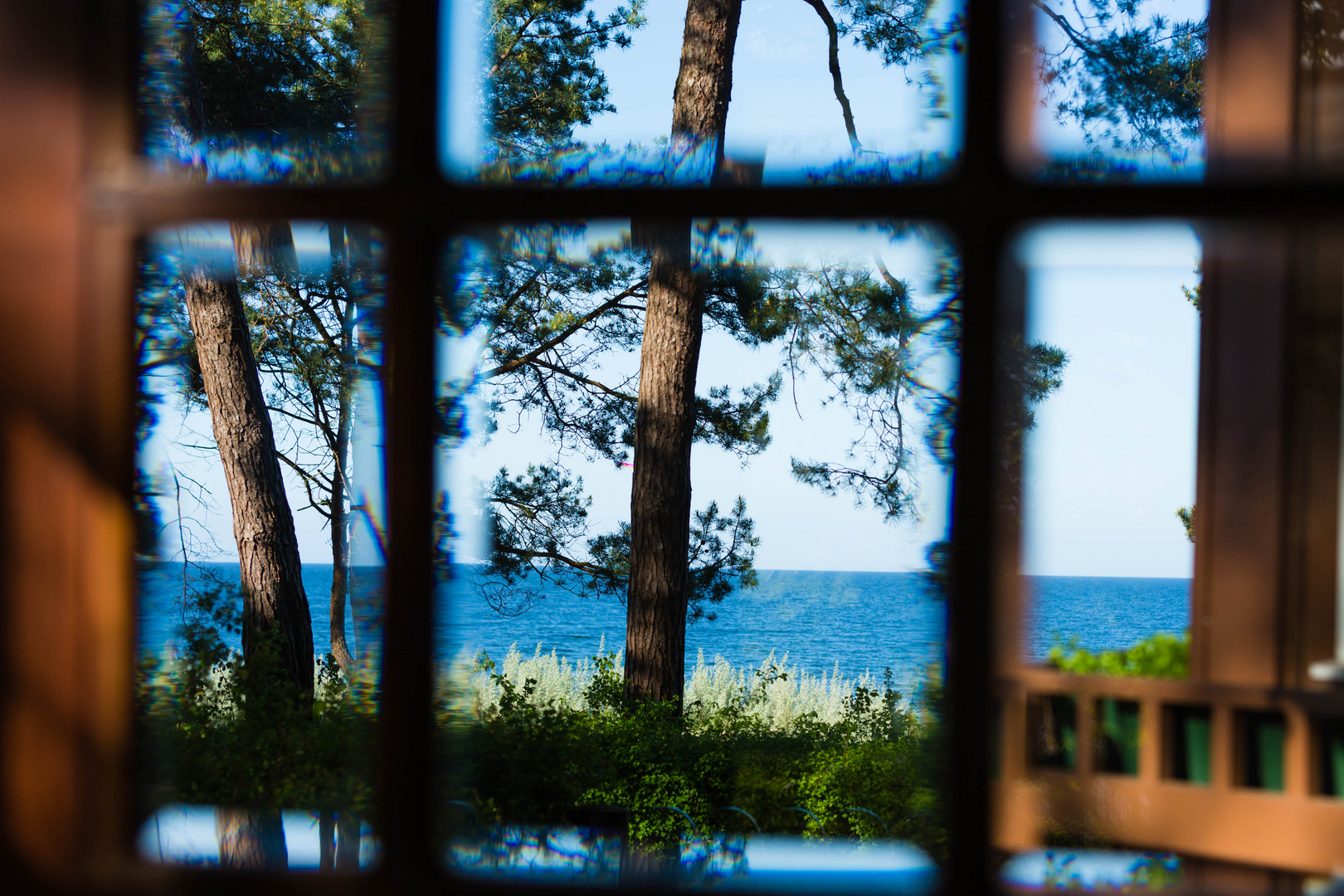 das Schöne hinter Glas