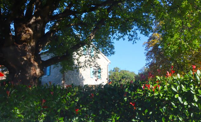 Das schöne istrische Steinhaus umgeben von Natur