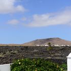 Das schöne Lanzarote