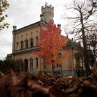 Das schöne Schlössle am Bodensee