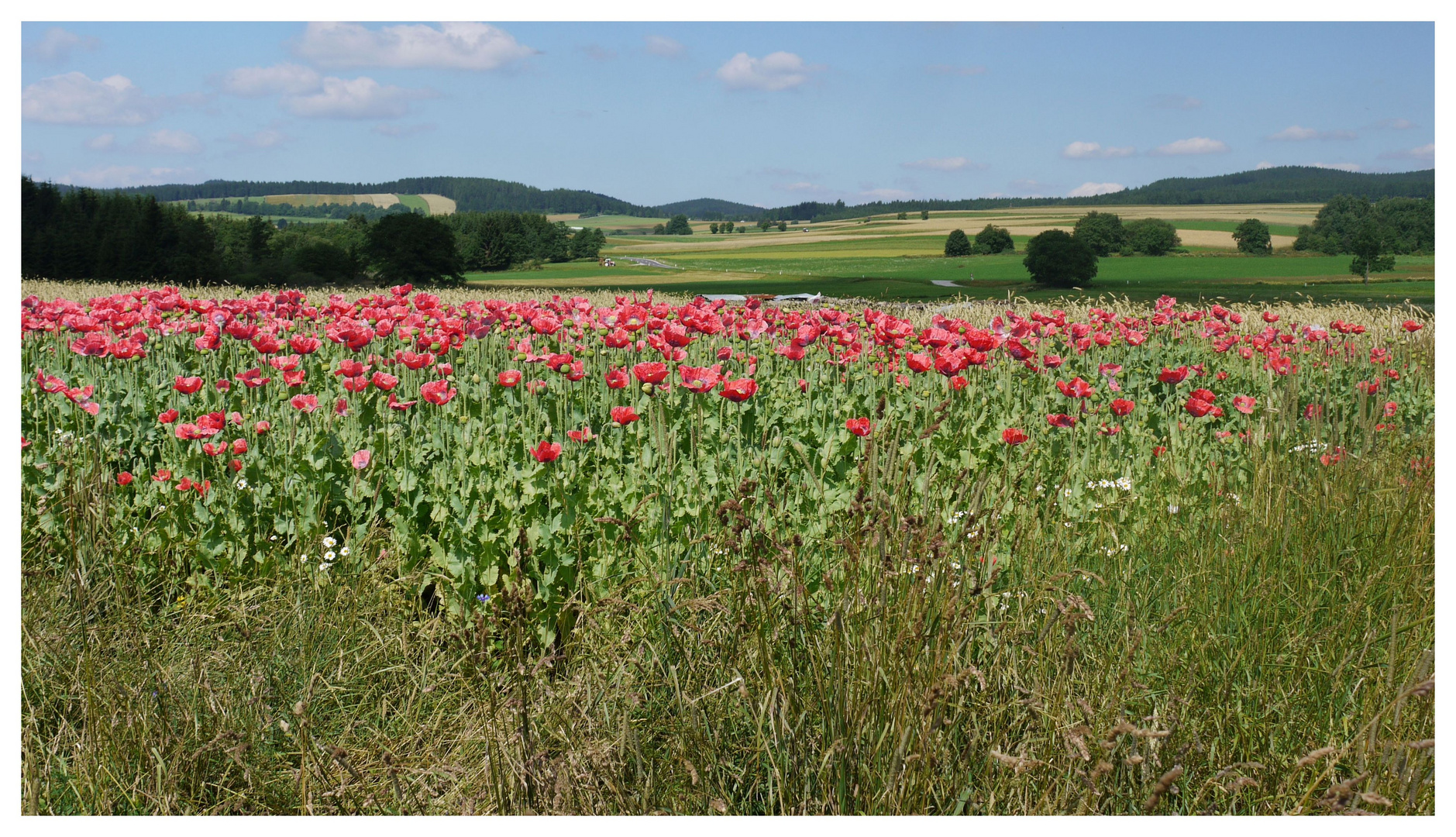 Das schöne Waldviertel