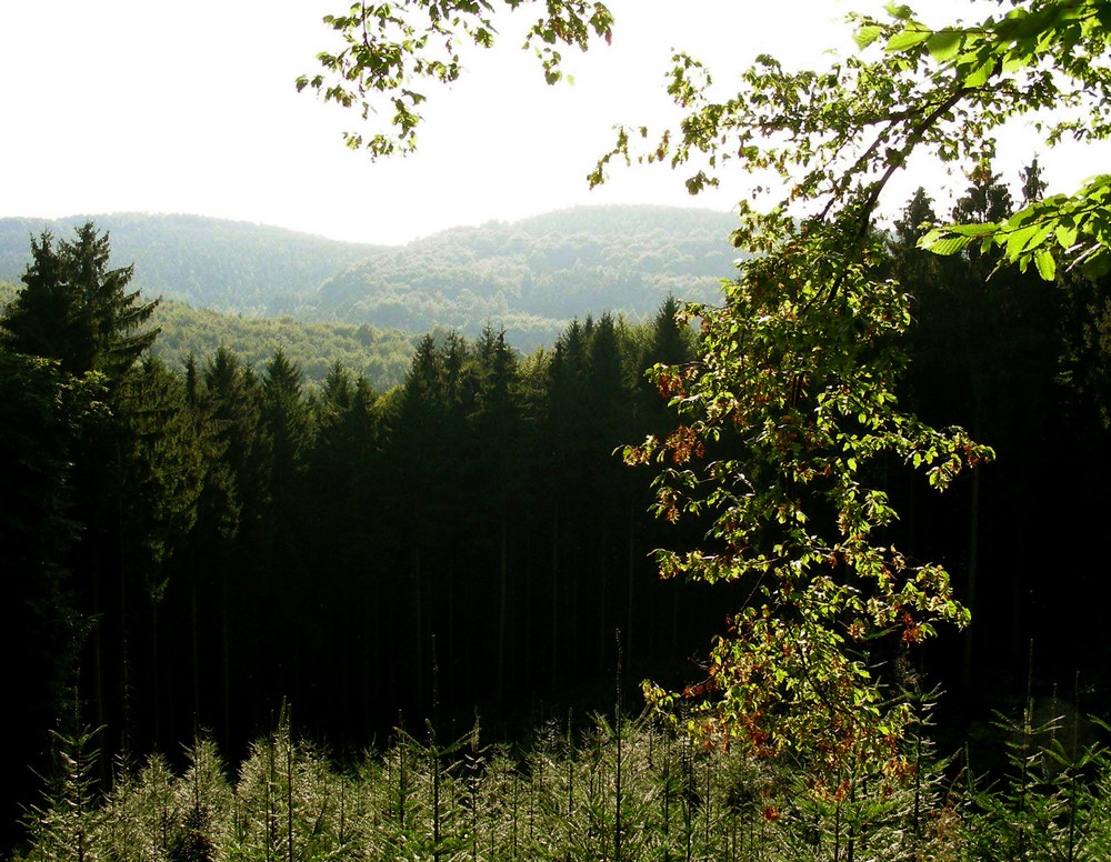 Das schöne Wiehengebirge by Herz-Magnet