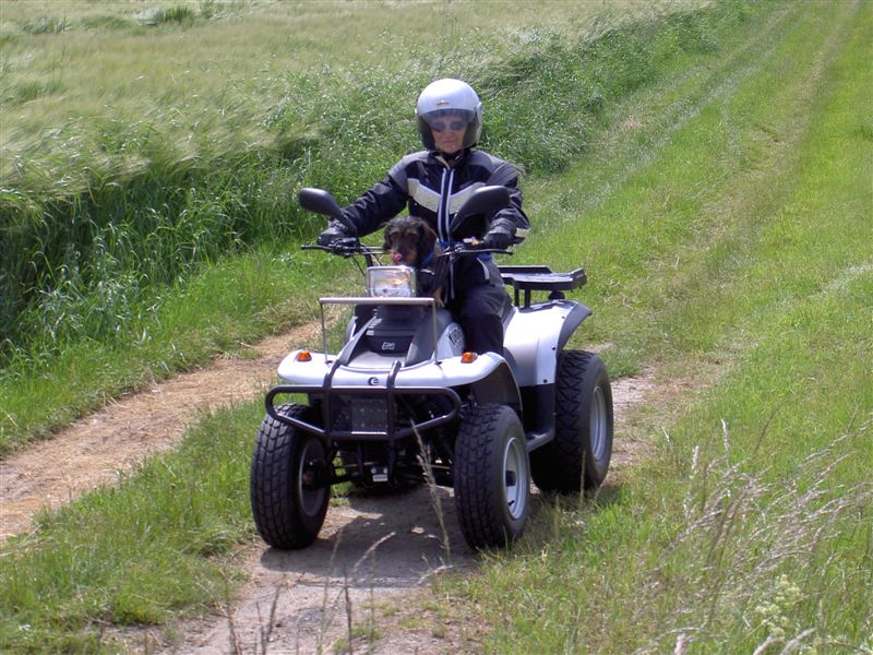 Das schönste am Quad fahren sind die Fliegen auf der Nase