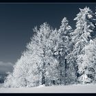 das Schönste am Winter...