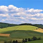 Das schönste Getreidefeld Deutschlands befindet sich ....