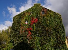 das schönste Haus in unserer Straße