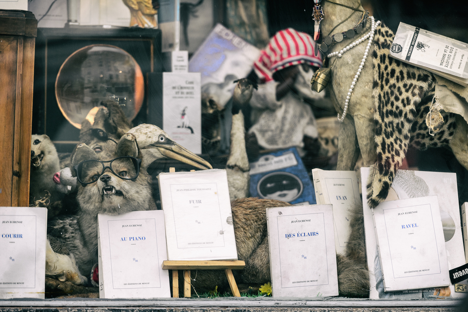 Das schönste Schaufenster der Welt