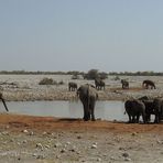 Das schönste Wasserloch in der Etosha