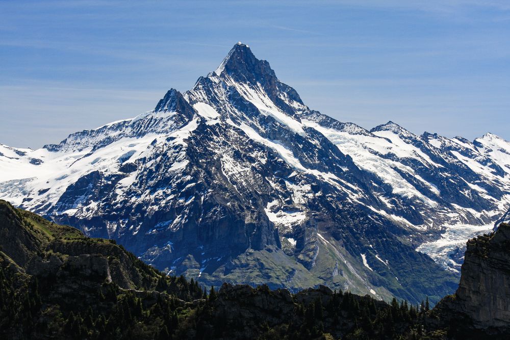 Das Schreckhorn (4078 m) (1) Foto & Bild schweiz, klettern, berner